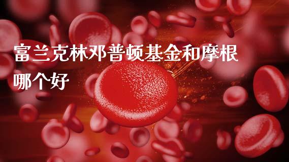 富兰克林邓普顿基金和摩根哪个好_https://m.qmgjg.com_资金管理_第1张