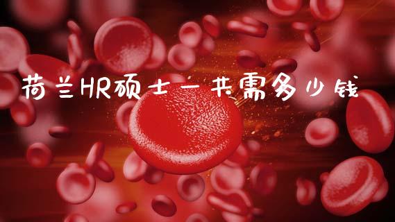 荷兰HR硕士一共需多少钱_https://m.qmgjg.com_投资银行_第1张