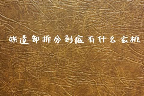 铁道部拆分到底有什么玄机_https://m.qmgjg.com_投资银行_第1张