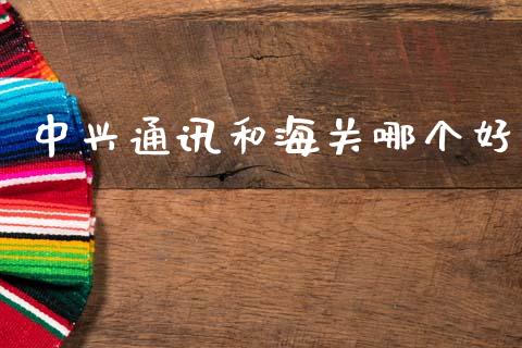 中兴通讯和海关哪个好_https://m.qmgjg.com_资金管理_第1张