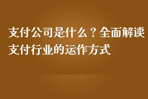 支付公司是什么？全面解读支付行业的运作方式_https://m.qmgjg.com_货币基金_第1张
