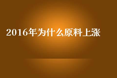 2016年为什么原料上涨_https://m.qmgjg.com_资金管理_第1张