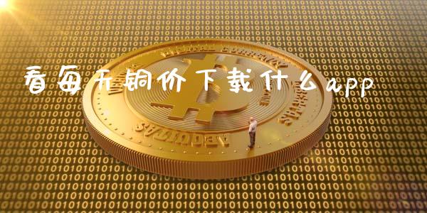 看每天铜价下载什么app_https://m.qmgjg.com_资金管理_第1张