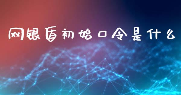 网银盾初始口令是什么_https://m.qmgjg.com_资金管理_第1张
