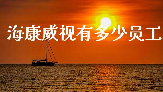 海康威视有多少员工_https://m.qmgjg.com_货币基金_第1张