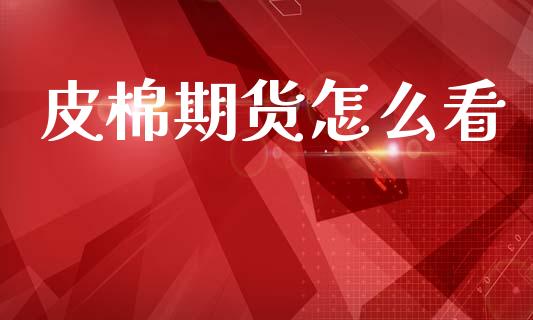 皮棉期货怎么看_https://m.qmgjg.com_投资银行_第1张