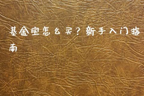 基金宝怎么买？新手入门指南_https://m.qmgjg.com_资金管理_第1张