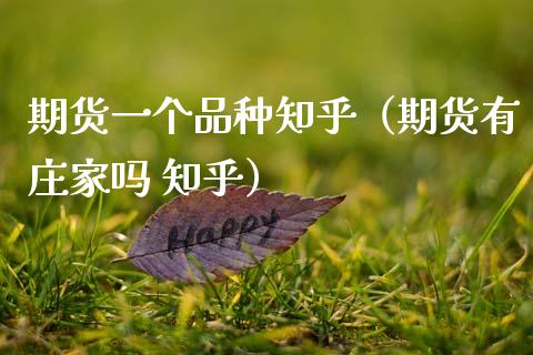 期货一个品种知乎（期货有庄家吗 知乎）_https://m.qmgjg.com_货币基金_第1张