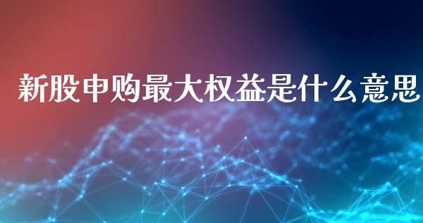 新股申购最大权益是什么意思_https://m.qmgjg.com_金融市场_第1张