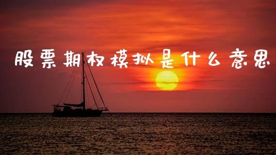股票期权模拟是什么意思_https://m.qmgjg.com_投资银行_第1张