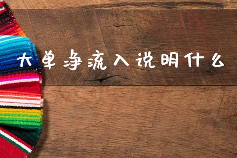 大单净流入说明什么_https://m.qmgjg.com_资金管理_第1张