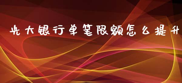 光大银行单笔限额怎么提升_https://m.qmgjg.com_货币基金_第1张