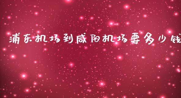 浦东机场到咸阳机场要多少钱_https://m.qmgjg.com_货币基金_第1张