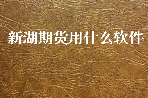 新湖期货用什么软件_投资银行_第1张_资金管理_投资银行_金融市场_货币基金 新湖期货用什么软件_https://m.qmgjg.com_投资银行_第1张