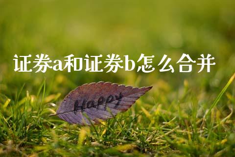 证券a和证券b怎么合并_https://m.qmgjg.com_资金管理_第1张