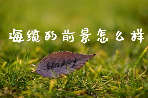 海缆的前景怎么样_https://m.qmgjg.com_货币基金_第1张