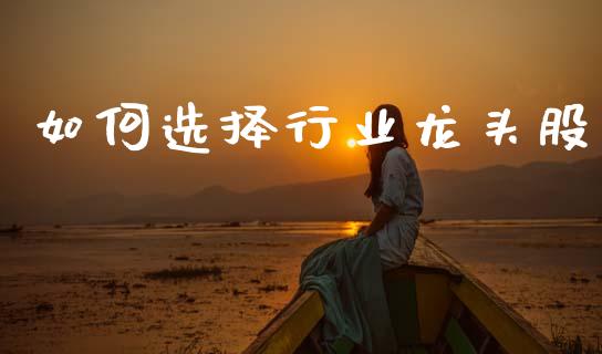 如何选择行业龙头股_https://m.qmgjg.com_资金管理_第1张