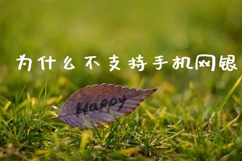 为什么不支持手机网银_https://m.qmgjg.com_货币基金_第1张