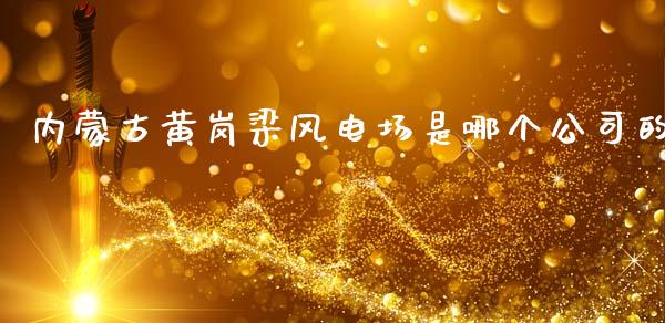 内蒙古黄岗梁风电场是哪个公司的_https://m.qmgjg.com_货币基金_第1张