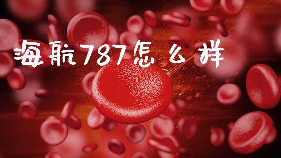 海航787怎么样_https://m.qmgjg.com_金融市场_第1张