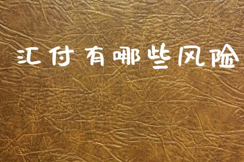 汇付有哪些风险_https://m.qmgjg.com_投资银行_第1张