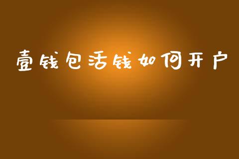 壹钱包活钱如何开户_https://m.qmgjg.com_资金管理_第1张