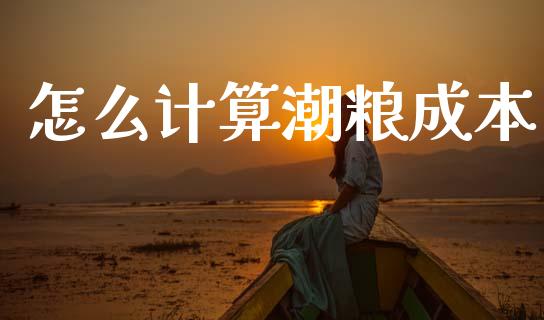 怎么计算潮粮成本_投资银行_第1张_资金管理_投资银行_金融市场_货币基金 怎么计算潮粮成本_https://m.qmgjg.com_投资银行_第1张