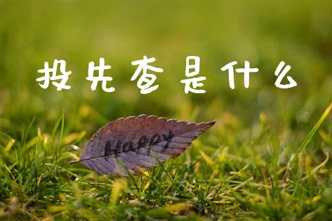 投先查是什么_https://m.qmgjg.com_投资银行_第1张