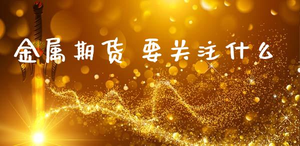金属期货 要关注什么_https://m.qmgjg.com_资金管理_第1张