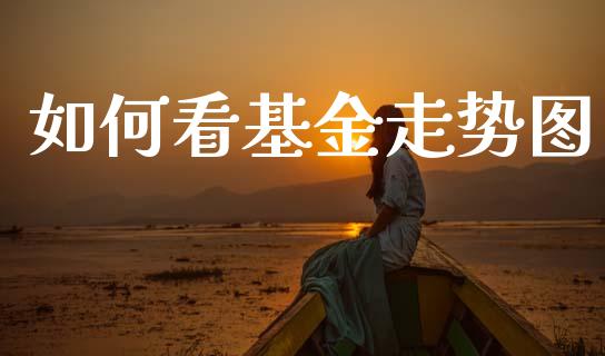 如何看基金走势图_https://m.qmgjg.com_货币基金_第1张