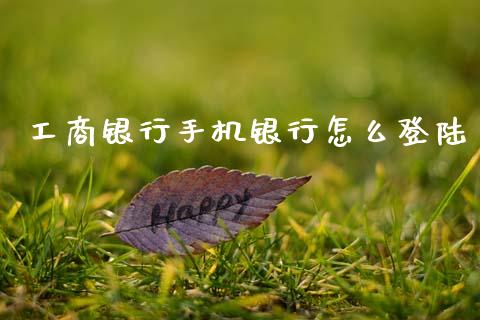 工商银行手机银行怎么登陆_https://m.qmgjg.com_货币基金_第1张