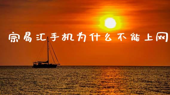 宗易汇手机为什么不能上网_https://m.qmgjg.com_投资银行_第1张