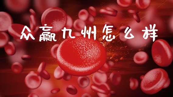 众赢九州怎么样_https://m.qmgjg.com_金融市场_第1张