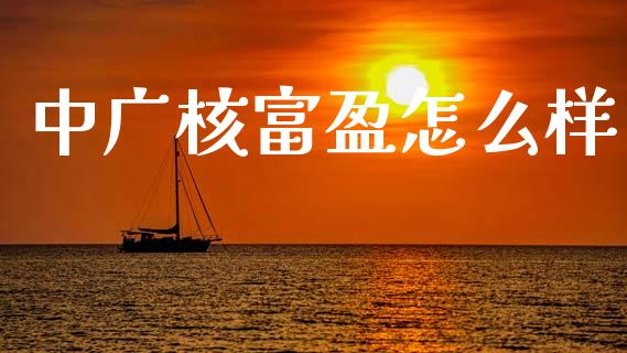 中广核富盈怎么样_https://m.qmgjg.com_投资银行_第1张