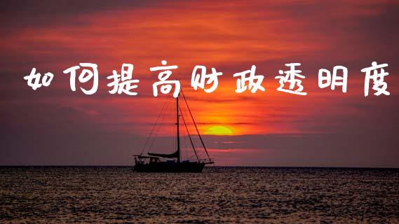 如何提高财政透明度_https://m.qmgjg.com_货币基金_第1张