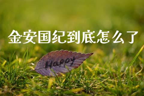 金安国纪到底怎么了_https://m.qmgjg.com_投资银行_第1张