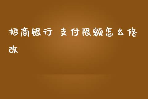招商银行 支付限额怎么修改_https://m.qmgjg.com_投资银行_第1张