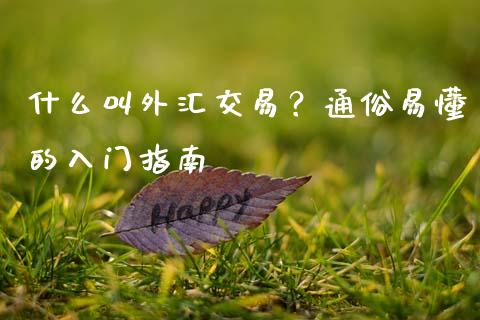 什么叫外汇交易？通俗易懂的入门指南_https://m.qmgjg.com_投资银行_第1张