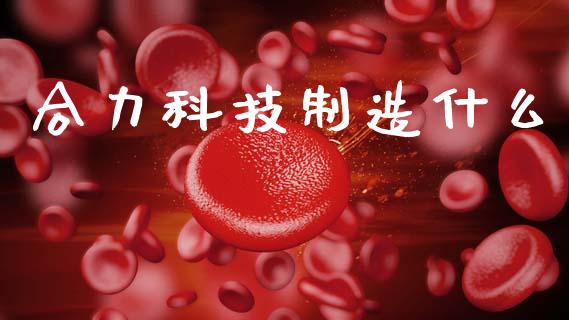 合力科技制造什么_https://m.qmgjg.com_金融市场_第1张