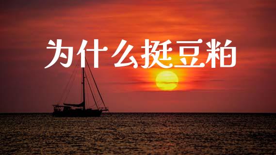 为什么挺豆粕_https://m.qmgjg.com_货币基金_第1张