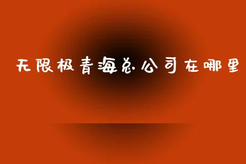 无限极青海总公司在哪里_https://m.qmgjg.com_资金管理_第1张