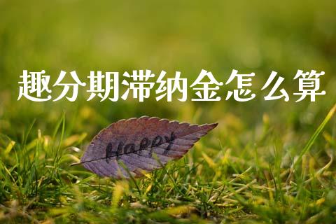 趣分期滞纳金怎么算_https://m.qmgjg.com_货币基金_第1张