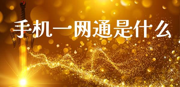 手机一网通是什么_https://m.qmgjg.com_资金管理_第1张