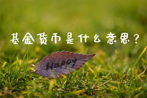 基金货币是什么意思？_https://m.qmgjg.com_金融市场_第1张