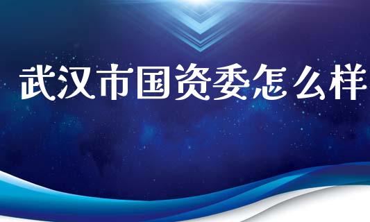 武汉市国资委怎么样_https://m.qmgjg.com_资金管理_第1张