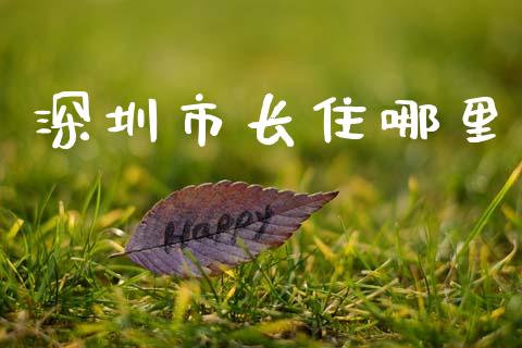 深圳市长住哪里_https://m.qmgjg.com_货币基金_第1张