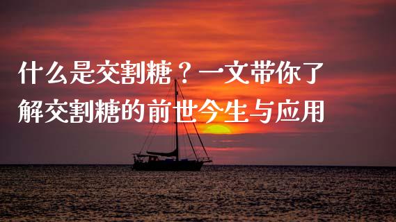 什么是交割糖？一文带你了解交割糖的前世今生与应用_https://m.qmgjg.com_货币基金_第1张