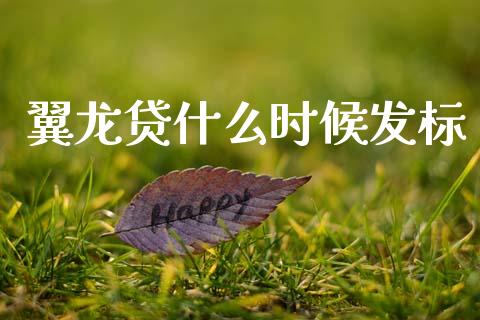 翼龙贷什么时候发标_https://m.qmgjg.com_货币基金_第1张