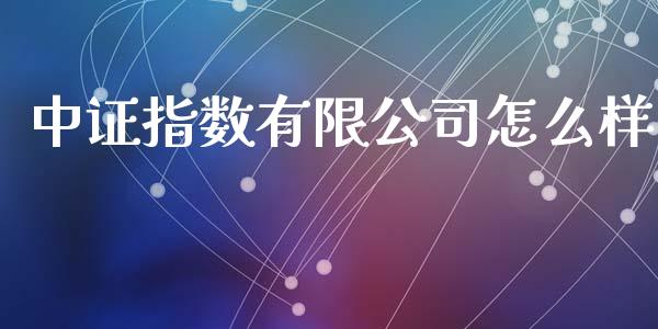 中证指数有限公司怎么样_https://m.qmgjg.com_投资银行_第1张