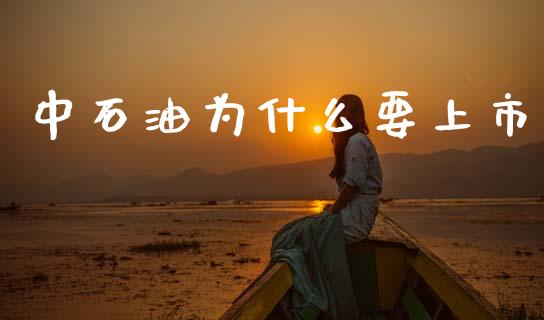 中石油为什么要上市_https://m.qmgjg.com_货币基金_第1张